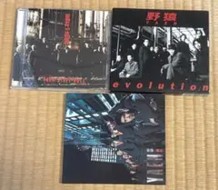 Item thumbnail for item 72150c63-fae6-4dce-8fea-7e404b98f5b9