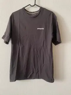 パタゴニア Tシャツ XS