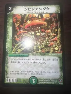 メルカリ便　シビレアシダケ　プロモ　初期枠　旧枠　4枚 メルカリ便 シビレアシダケ プロモ 初期枠 旧枠 4枚 【公式通販】