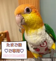 Item thumbnail for item 10c83a18-ade6-4909-b8b2-5095764ae74f