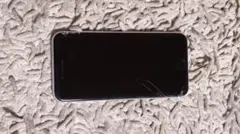 iPhone SE2本体（箱付き）