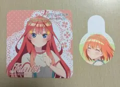 Bull Pulu 五等分の花嫁　コラボドリンク　　コースター 五月