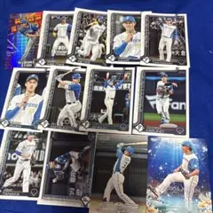 プロ野球 トレーディングカード セット日本ハム