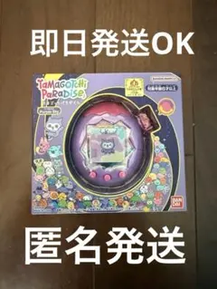 Item thumbnail for item 9e225c5e-0ab8-48e2-a7f9-2e99e5729a0f