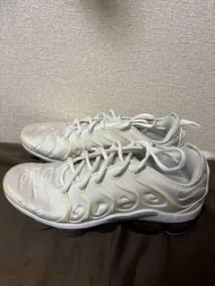 NikeAir VapormaxPlus White/Pure Platinum