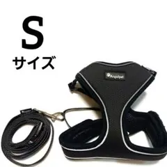 Item thumbnail for item ac45b97e-f22a-4553-ac96-3d54d393a36f