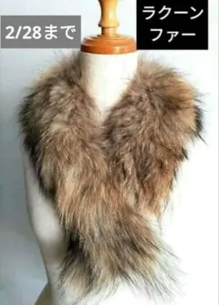 ラクーンファーマフラー付け襟 ブラウン系