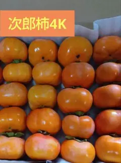 次郎柿4kg 茨城産　産地直送