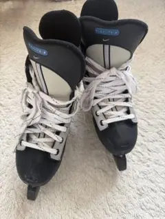 Item thumbnail for item e194def9-8d18-4e3f-b680-47b3adb15759