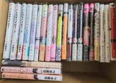 blまとめ売り 25冊