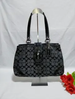 美品 コーチ COACH ショルダーバッグ ハンドバッグ シグネチャー18750