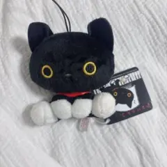 靴下ニャンコ マスコット ぬいぐるみ