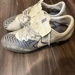 Item thumbnail for item e2d9b8f3-5a1a-47b0-a1e6-2c5b217b7be8