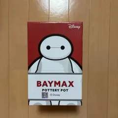 ディズニー⭐︎ベイマックス⭐︎POTTERY POT