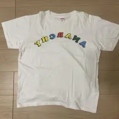 激レア 直筆サイン入 2005年アイオワスピードウェイ ナスカー