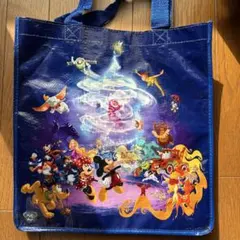 Disney ショッピングバッグ　ポケット付き　ディズニーストア
