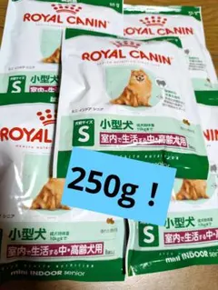 Item thumbnail for item 77598318-30c6-4290-9764-cc4cf1b43f55