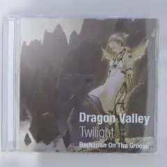 Barbarian On The Groove Dragon　Valley