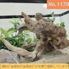 Item thumbnail for item 4d1a8946-e0e3-4149-a481-1bb945b22306