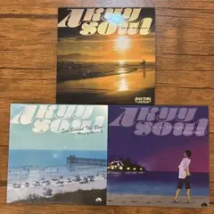 アークナイツARK: ECHO CD + 特典レコード型キーホルダー等3点セット