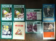 Item thumbnail for item 86f95b99-5c00-49dc-b056-5781b107ed10