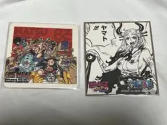 ナツコミ2021 麦わらの一味コースター ジャンプフェア2021 ヤマトミニ色紙