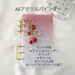 アクリルバインダー♡水流模様A6韓国バインダー貯金savingチェリーRed
