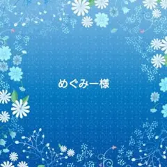 めぐみー様 リクエスト 2点 まとめ商品