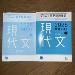 重要問題演習共通テスト2025現代文
