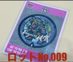 Item thumbnail for item 89c15097-bb9c-4aaa-8bbf-f5193868bebd