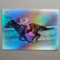 VICTORY 2000，ニシノフラワー【3点300円】