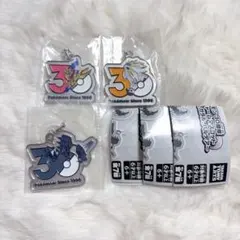 ポケモン 30周年 メタルチャームマスコット 3種セット
