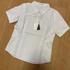 Item thumbnail for item a3481027-bd5e-4be8-af3f-0d4cf0708fe5