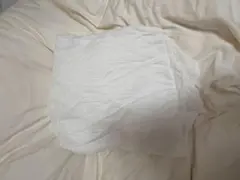 Item thumbnail for item 94583457-2b91-4ea0-94f4-f86d34f57fcc