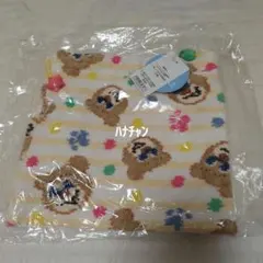 テディ　巾着　ハローテディ　フェイラー　ラブラリー