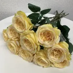 Item thumbnail for item 5c5e0989-c01f-43f3-99f2-8eb7df61f9c1