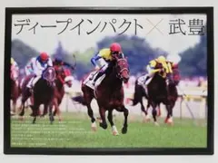 ナリタブライアン 第61回日本ダービー デジタルピンナップ - メルカリ