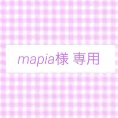 mapia様 リクエスト 2点 まとめ商品