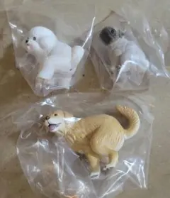 Item thumbnail for item 1c6f0b34-fa9e-42cb-961e-8a708939fba6