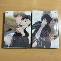 『キューピッドに落雷』『キューピッドに落雷 追撃』 2巻セット