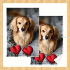 あーちゃん様 リクエスト 3点 まとめ商品