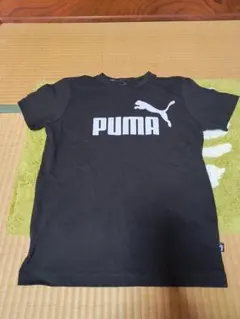 Item thumbnail for item 89f6acdc-b2d8-4f5d-a2d7-4de459bf6901