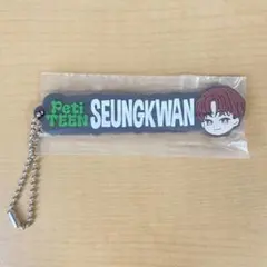 SEVENTEEN 一番くじ PetiTEEN スングァン