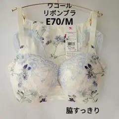 RSG様専用 E70/Ｍ ワコール リボンブラ ブラショーツ 定価10230円