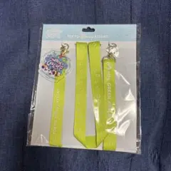 ディズニー　ストライプ　ディズニーランド　夏　ミセス　コラボ　tシャツ