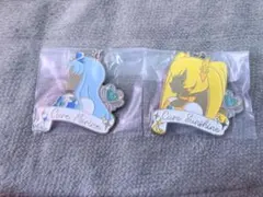 真*哉様 プリキュア 一番くじ　f賞　メタルチャーム　キュアマリン&キュアサンシ