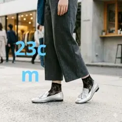BEAUTY&YOUTH UNITED ARROWS タッセル ローファー36のサムネイル