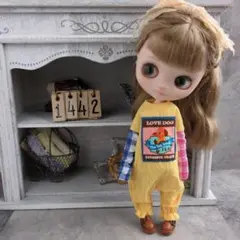 2026年最新】ミディアイシードールの人気アイテム - メルカリ