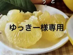 ゆっきー様専用　土佐文旦小玉ミックス10キロ