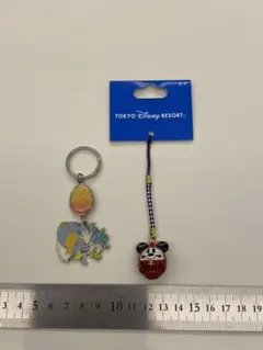 東京ディズニーリゾート キーホルダー・ストラップセット